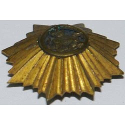 Iran Persia Shah Pahlavi Military Army Uniform Lion & Sun ( Shiro Khorshid ) Taj Crown Shoulder Rank Button