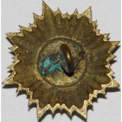 Iran Persia Shah Pahlavi Military Army Uniform Lion & Sun ( Shiro Khorshid ) Taj Crown Shoulder Rank Button