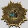 Iran Persia Shah Pahlavi Military Army Uniform Lion & Sun ( Shiro Khorshid ) Taj Crown Shoulder Rank Button