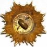 Iran Persia Shah Pahlavi Military Army Uniform Lion & Sun ( Shiro Khorshid ) Taj Crown Shoulder Rank Swedish Button