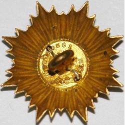 Iran Persia Shah Pahlavi Military Army Uniform Lion & Sun ( Shiro Khorshid ) Taj Crown Shoulder Rank Swedish Button