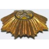 Iran Persia Shah Pahlavi Military Army Uniform Lion & Sun ( Shiro Khorshid ) Taj Crown Shoulder Rank Button