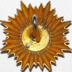 Iran Persia Shah Pahlavi Military Army Uniform Lion & Sun ( Shiro Khorshid ) Taj Crown Shoulder Rank Button