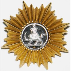 Iran Persia Shah Pahlavi Military Army Uniform Lion & Sun ( Shiro Khorshid ) Taj Crown Shoulder Rank Button