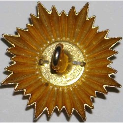 Iran Persia Shah Pahlavi Military Army Uniform Lion & Sun ( Shiro Khorshid ) Taj Crown Shoulder Rank Button