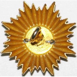 Iran Persia Shah Pahlavi Military Army Uniform Lion & Sun ( Shiro Khorshid ) Taj Crown Shoulder Rank Button