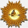 Iran Persia Shah Pahlavi Military Army Uniform Lion & Sun ( Shiro Khorshid ) Taj Crown Shoulder Rank Button