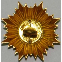 Iran Persia Shah Pahlavi Military Army Uniform Lion & Sun ( Shiro Khorshid ) Taj Crown Shoulder Rank Swedish Button