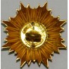 Iran Persia Shah Pahlavi Military Army Uniform Lion & Sun ( Shiro Khorshid ) Taj Crown Shoulder Rank Swedish Button