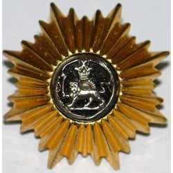Iran Persia Shah Pahlavi Military Army Uniform Lion & Sun ( Shiro Khorshid ) Taj Crown Shoulder Rank Button