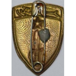 Iran Military Elite Special Forces RANGERs Qualification Pin Badge