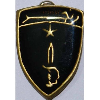 Iran Military Elite Special Forces RANGERs Qualification Pin Badge