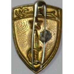 Iran Military Elite Special Forces RANGERs Qualification Pin Badge