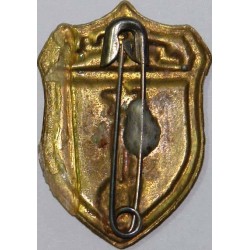 Iran Military Elite Special Forces RANGERs Qualification Pin Badge