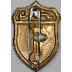 Iran Military Elite Special Forces RANGERs Qualification Pin Badge