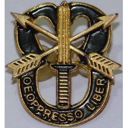 Iran 65th Airborne Special Forces Brigade De oppresso liber Pin Badge