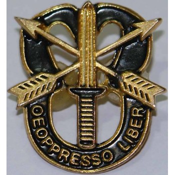 Iran 65th Airborne Special Forces Brigade De oppresso liber Pin Badge