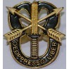 Iran 65th Airborne Special Forces Brigade De oppresso liber Pin Badge