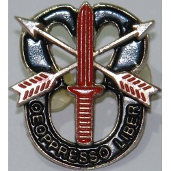 Iran 65th Airborne Special Forces Brigade De oppresso liber Pin Badge