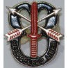 Iran 65th Airborne Special Forces Brigade De oppresso liber Pin Badge