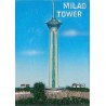 Iran Tehran Relief of Milad Tower Hand-Painted 3D Polyresin Fridge Magnet
