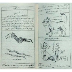 Iran Islam Persian KHOTOOMAT VA TASKHIRAT-e JINN Sakkaki Genie Mysterious Sciences Charm Talisman Magic Spells Pictorial Book