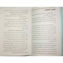 Iran Islam Persian Farsi ROJOOE HAMZAD on Return of Twin Souls / Twin Flames Mysterious Sciences Book