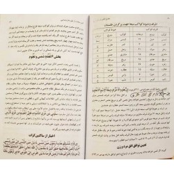 Iran Islam Persian MAJMA' AL-OLUM WA AL-HOROOF Science of Letters, Jafr, Talismanry, Mysterious Sciences Charm Magic Book