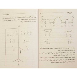 Iran Islam Persian Farsi Tariq Al-Raml ( Raml Way ) Charm, Magic & Mysterious Sciences Book