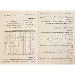 Iran Islam Persian Farsi Tariq Al-Raml ( Raml Way ) Charm, Magic & Mysterious Sciences Book