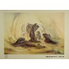 Iran Islam Shia Ashura Afternoon ( After Martyrdom of Imam Husain A.S. ) Painting Poster
