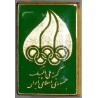 National Olympic Committee of the Islamic Republic of Iran GREEN NOC Pin