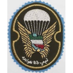 Iran Military Army 55th Airborne Brigade Special Forces Type I with Light Blue Colour Background Patch
