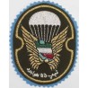 Iran Military Army 55th Airborne Brigade Special Forces Type I with Light Blue Colour Background Patch