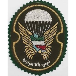 Iran Military Army 55th Airborne Brigade Special Forces Type I with Green Colour Cloth Background Patch