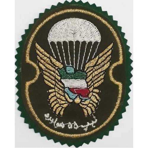 Iran Military Army 55th Airborne Brigade Special Forces Type I with Green Colour Cloth Background Patch Iran Military Army 55th Airborne Brigade Special Forces Type I with Green Colour Cloth Background Patch