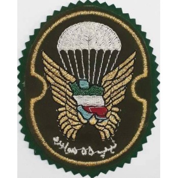 Iran Military Army 55th Airborne Brigade Special Forces Type I with Green Colour Cloth Background Patch