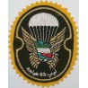 Iran Military Army 55th Airborne Brigade Special Forces Type I with Yellow Colour Cloth Background Patch
