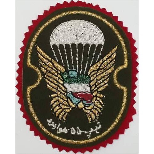 Iran Military Army 55th Airborne Brigade Special Forces Type I with Red Colour Cloth Background Patch Iran Military Army 55th Airborne Brigade Special Forces Type I with Red Colour Cloth Background Patch
