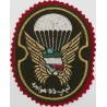 Iran Military Army 55th Airborne Brigade Special Forces Type I with Red Colour Cloth Background Patch