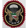 Iran Military Army 55th Airborne Brigade Special Forces Type II with Red Colour Cloth Background Patch