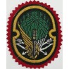 Iran Military Army 65th Airborne Special Forces (NOHED) Brigade Type I with Red Colour Cloth Background Patch