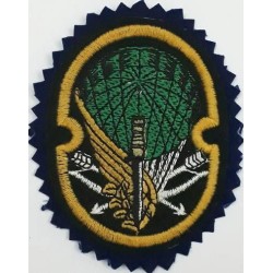 Iran Military Army 65th Airborne Special Forces (NOHED) Brigade Type I with Dark Blue Colour Cloth Background Patch