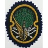 Iran Military Army 65th Airborne Special Forces (NOHED) Brigade Type I with Dark Blue Colour Cloth Background Patch