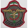 Iran Revolutionary Guards Saberin Commando Battalion AB Para Special Forces Type I Red Backing Cloth Sleeve Patch