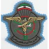Iran Revolutionary Guards Saberin Commando Battalion AB Para Special Forces Type II with Light Blue Backing Cloth Sleeve Patch