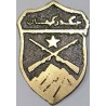 Iran Military Elite Special Forces Mountain Warfare Qualification Badge Type I