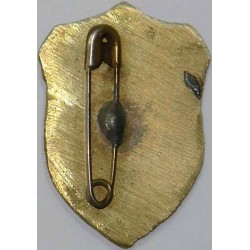 Iran Military Elite Special Forces Mountain Warfare Qualification Badge Type I