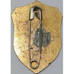 Iran Military Elite Special Forces Mountain Warfare Qualification Badge Type III