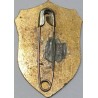 Iran Military Elite Special Forces Mountain Warfare Qualification Badge Type III
